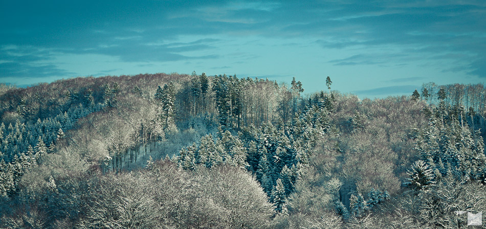 Weisser Schwarzwald | White Black Forest