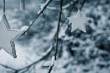 Schneesterne | Snowstars