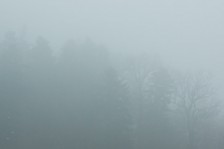 Neujahrsmorgen | New Year’s Morning