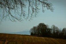 Vorfrühling | Early Spring