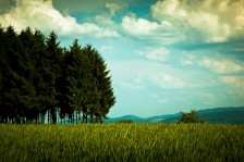 Sommerabend auf dem Berg | Summer Evening on the Hill