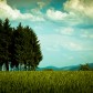 Sommerabend auf dem Berg | Summer Evening on the Hill