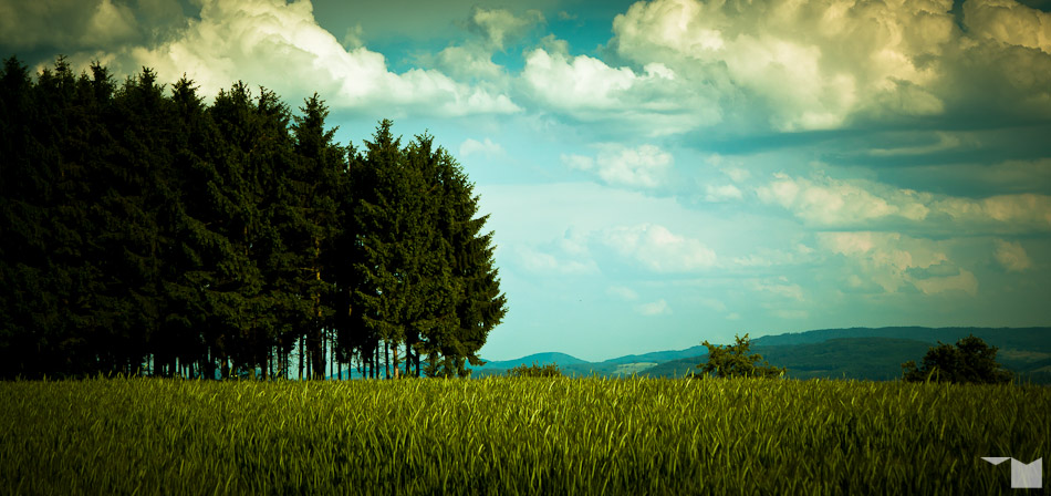 Sommerabend auf dem Berg | Summer Evening on the Hill