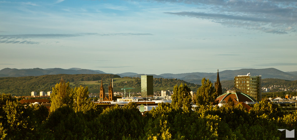 Abendlicht II | Evening Light II