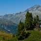 Baumgrenze | Tree Line