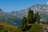 Baumgrenze | Tree Line