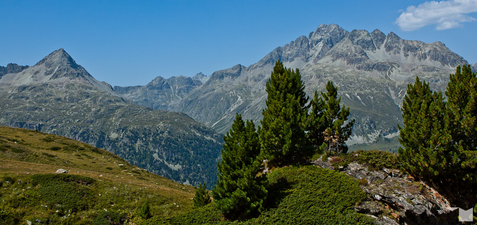 Baumgrenze | Tree Line