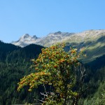 Ein Blick vom Haus auf die Berge.