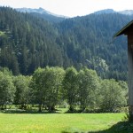 Im Grasgarten hinterm Haus haben wir gespielt.